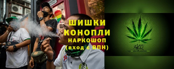 дурь Алзамай