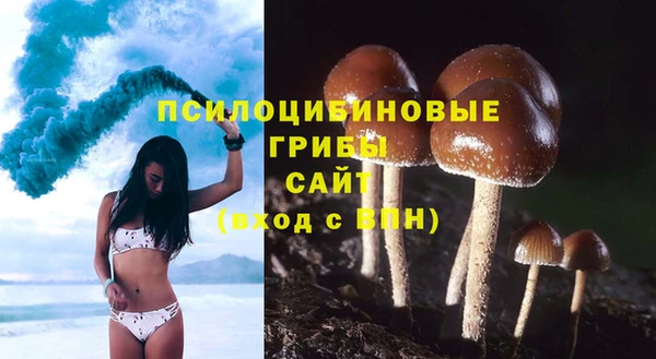 дурь Алзамай