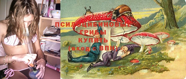 дурь Алзамай